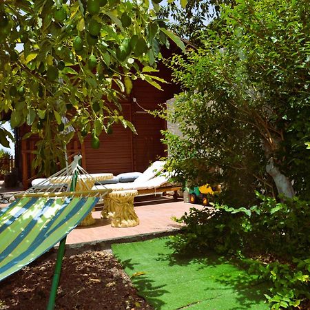 Cabana Los Palmeros, Vista Al Mar Y La Montana Alojera Екстер'єр фото