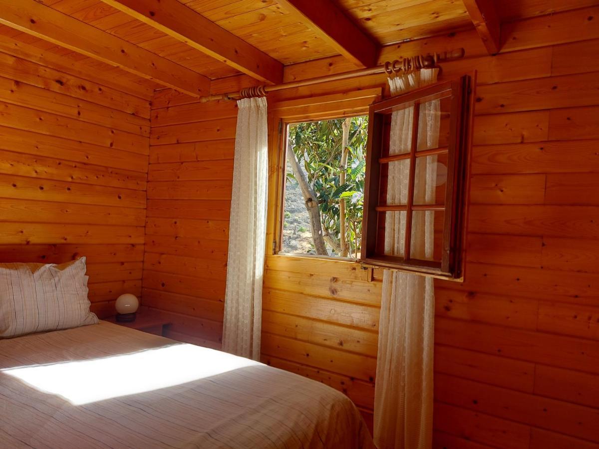 Cabana Los Palmeros, Vista Al Mar Y La Montana Alojera Екстер'єр фото