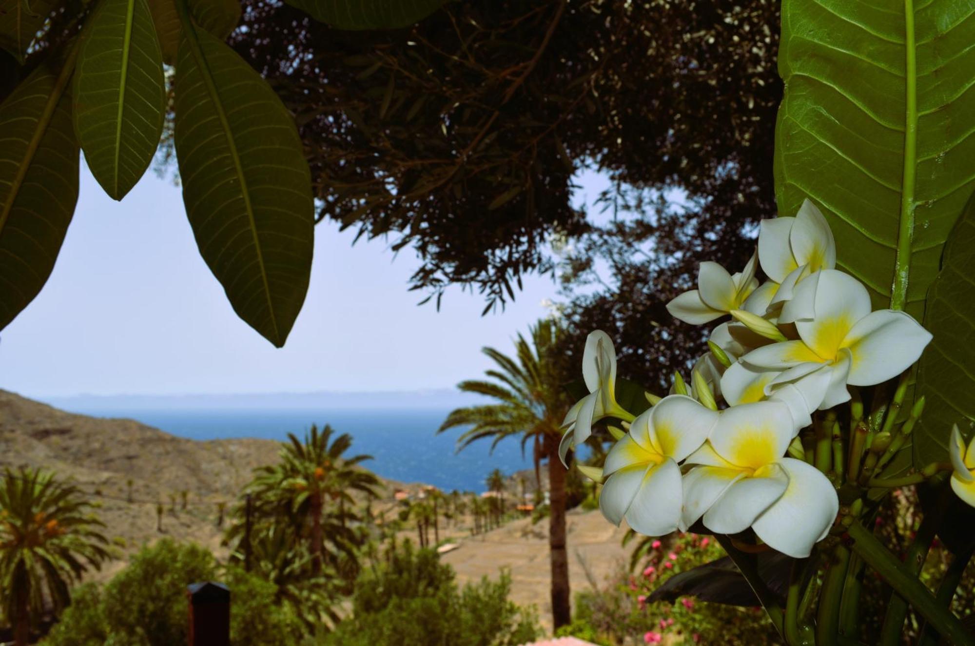 Cabana Los Palmeros, Vista Al Mar Y La Montana Alojera Екстер'єр фото